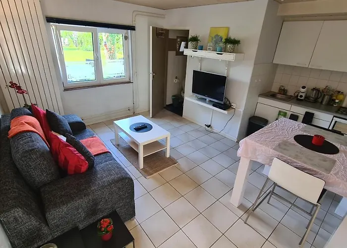 Roos ファルケンブルフ